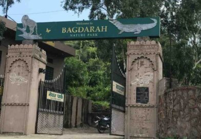 सिंगरौली का बगदरा अभयारण्य होगा डिनोटिफाई, अब पर्यटन पर जोर देगी MP सरकार