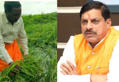 MP के 25 जिलों में बारिश से फसलें बर्बाद, CM मोहन यादव ने सर्वे कराकर प्रभावित किसानों को मुआवजा देने के दिए निर्देश