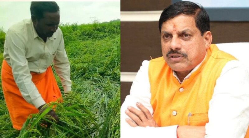 MP के 25 जिलों में बारिश से फसलें बर्बाद, CM मोहन यादव ने सर्वे कराकर प्रभावित किसानों को मुआवजा देने के दिए निर्देश