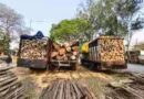 दुर्ग वनमंडल की बड़ी कार्रवाई, अवैध काष्ठ से लदे चार वाहन जब्त