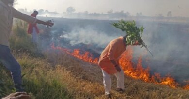 भोपाल के कुठार में आग का तांडव, 15 एकड़ गेहूं की फसल राख, 1000 एकड़ को बचाने के लिए जान पर खेल गए ग्रामीण