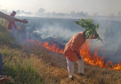 भोपाल के कुठार में आग का तांडव, 15 एकड़ गेहूं की फसल राख, 1000 एकड़ को बचाने के लिए जान पर खेल गए ग्रामीण