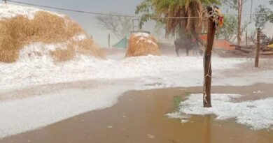 केशकाल में ओलावृष्टि: गांवों में बर्फ की चादर, फसलें चौपट