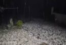 2 दिन आंधी-बारिश का अलर्ट, मैनपाट में ओले गिरे