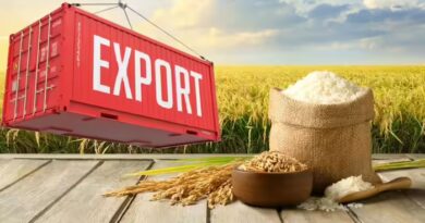 पश्चिम एशिया युद्ध से हिली देश की बासमती चावल इंडस्ट्री, शिपमेंट में देरी ने बढ़ाई चिंता, किसानों पर भी असर