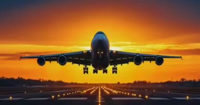 विमानों में  फ्री सीट का मामला गरमाया, एयरलाइंस ने दी किराया बढ़ाने की चेतावनी, कर दी यह बड़ी मांग