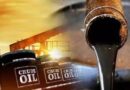 6 साल में सबसे बड़ी गिरावट के बाद फिर उछला कच्चा तेल, होर्मुज स्ट्रेट पर अमेरिका और ईरान में बढ़ी तकरार