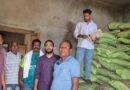 डीएपी के नाम पर हो रही थी ठगी, खारीबहार में 17.1 टन अवैध उर्वरक जब्त, 342 बोरी सील कर जांच शुरू